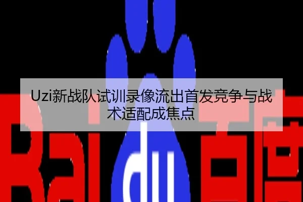 Uzi新战队试训录像流出首发竞争与战术适配成焦点